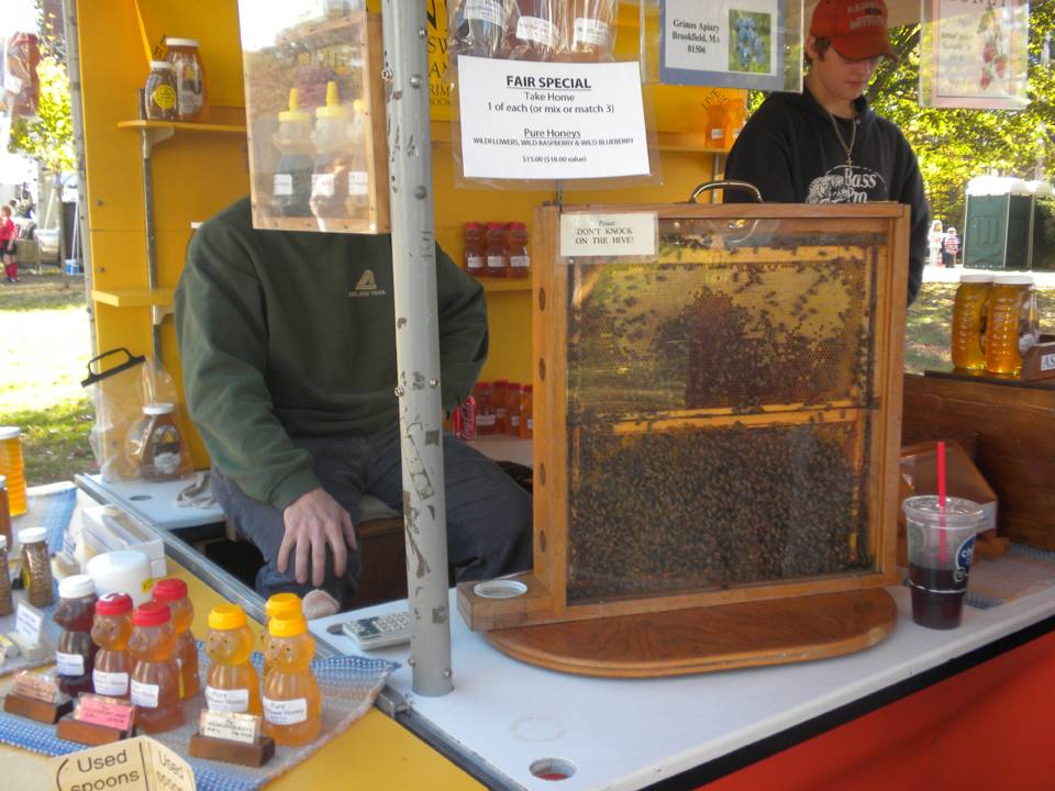 Bees